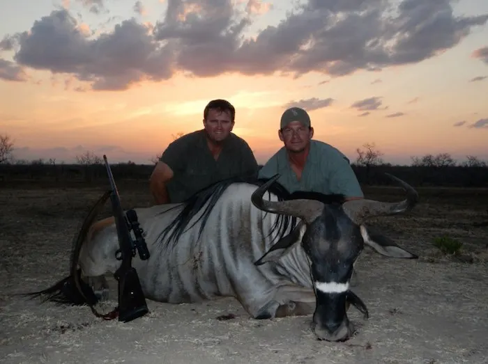 Cape buffalo hunt in Chirisa Safari Area