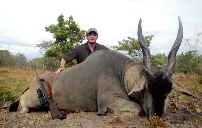 Trophy Cape buffalo from Zimbabwe safari