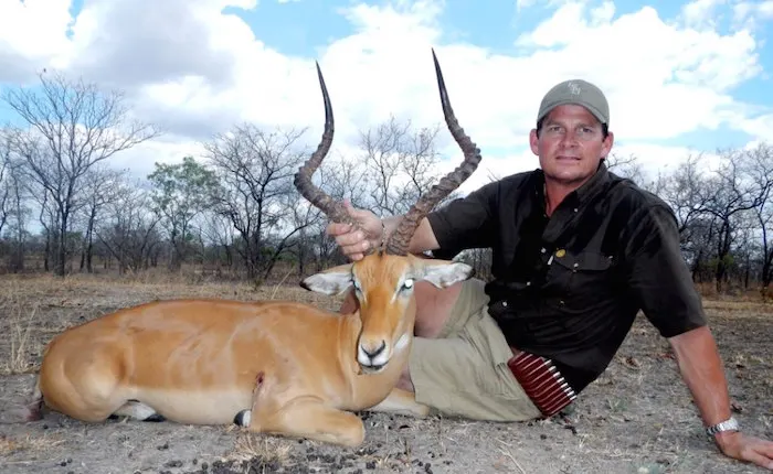 Buffalo hunting in Zimbabwe thick bush