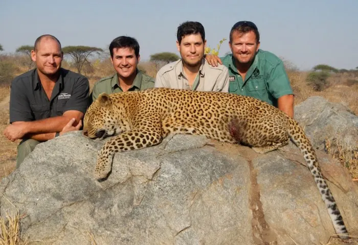 Elephant hunt Zimbabwe