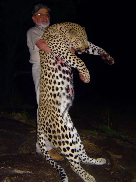 Leopard bait station in Zimbabwe jesse bush