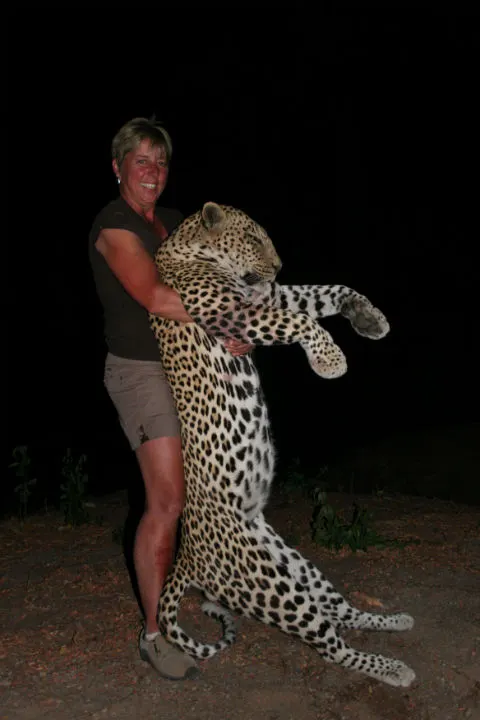 Leopard hunt success with Brian Van Blerk