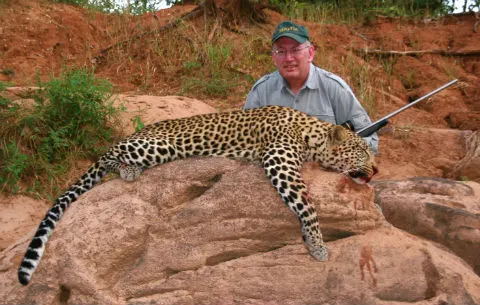 Leopard hunting safari
