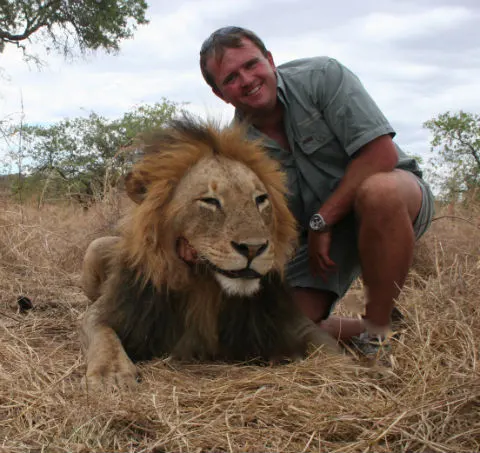 Trophy lion from a Brian Van Blerk safari in Zimbabwe
