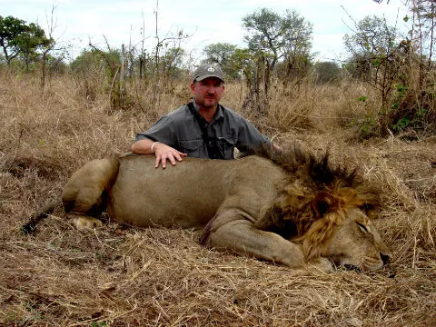 Trophy lion hunting safari in Zimbabwe with Brian Van Blerk