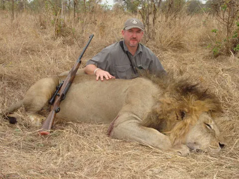 Lion hunting safari Zimbabwe