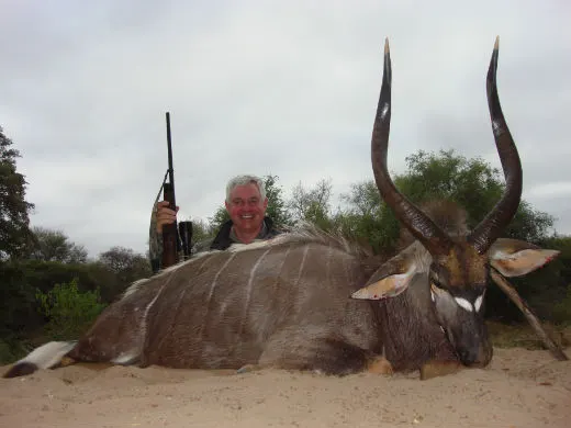 Greater kudu hunted in Zimbabwe