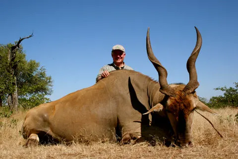 Kudu hunting in Zimbabwe bush