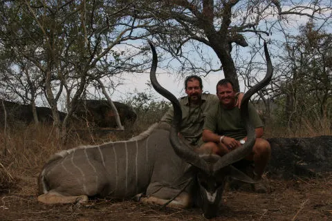 Trophy kudu bull from Zimbabwe